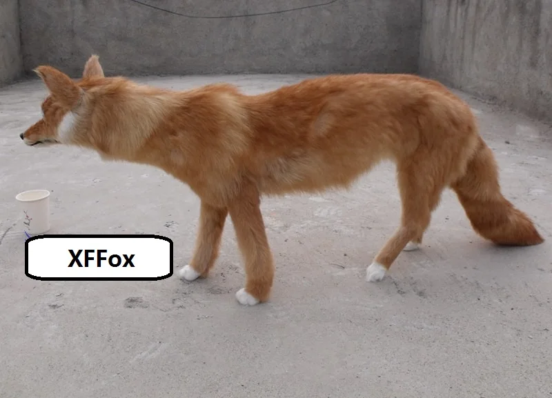 Yellow Fox Model Realistic Simulation Large Size Home Decoration Approx. 100x20x40 Cm Unique Gift for Interior Decor