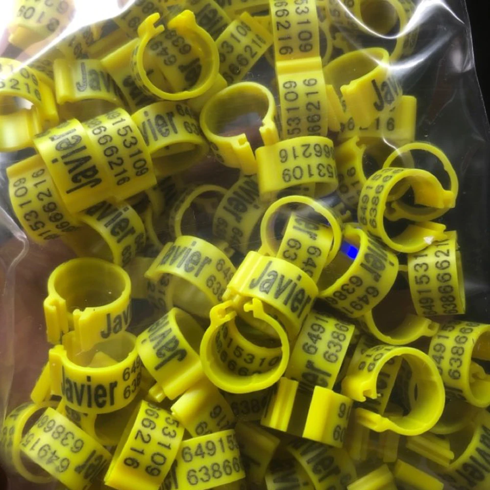 Wholesale/retail C8 8mm Bird Dove Pigeon Plastic Leg Rings Custom Plastic Lettering Rings  Black/Red/Blue/Green/Gold