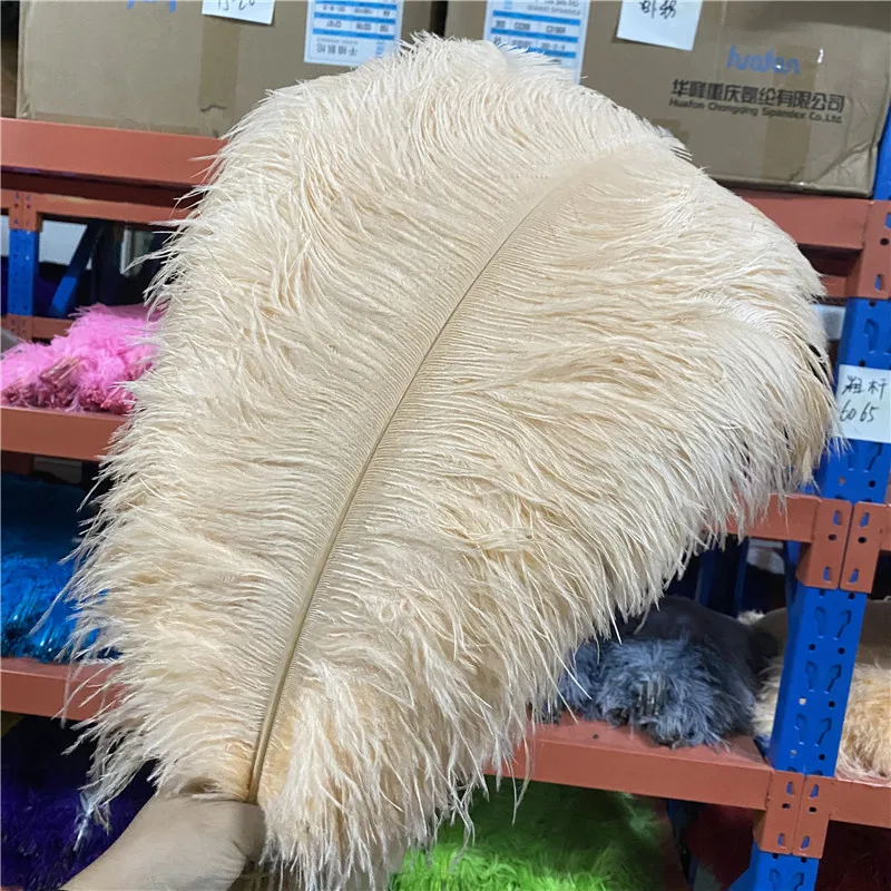 

Wholesale 20-100pcs/lot Champagne Grace Ostrich Feather 24-26 inches/60-65cm Diy Craft Supplies Accessories Dancers Plumas