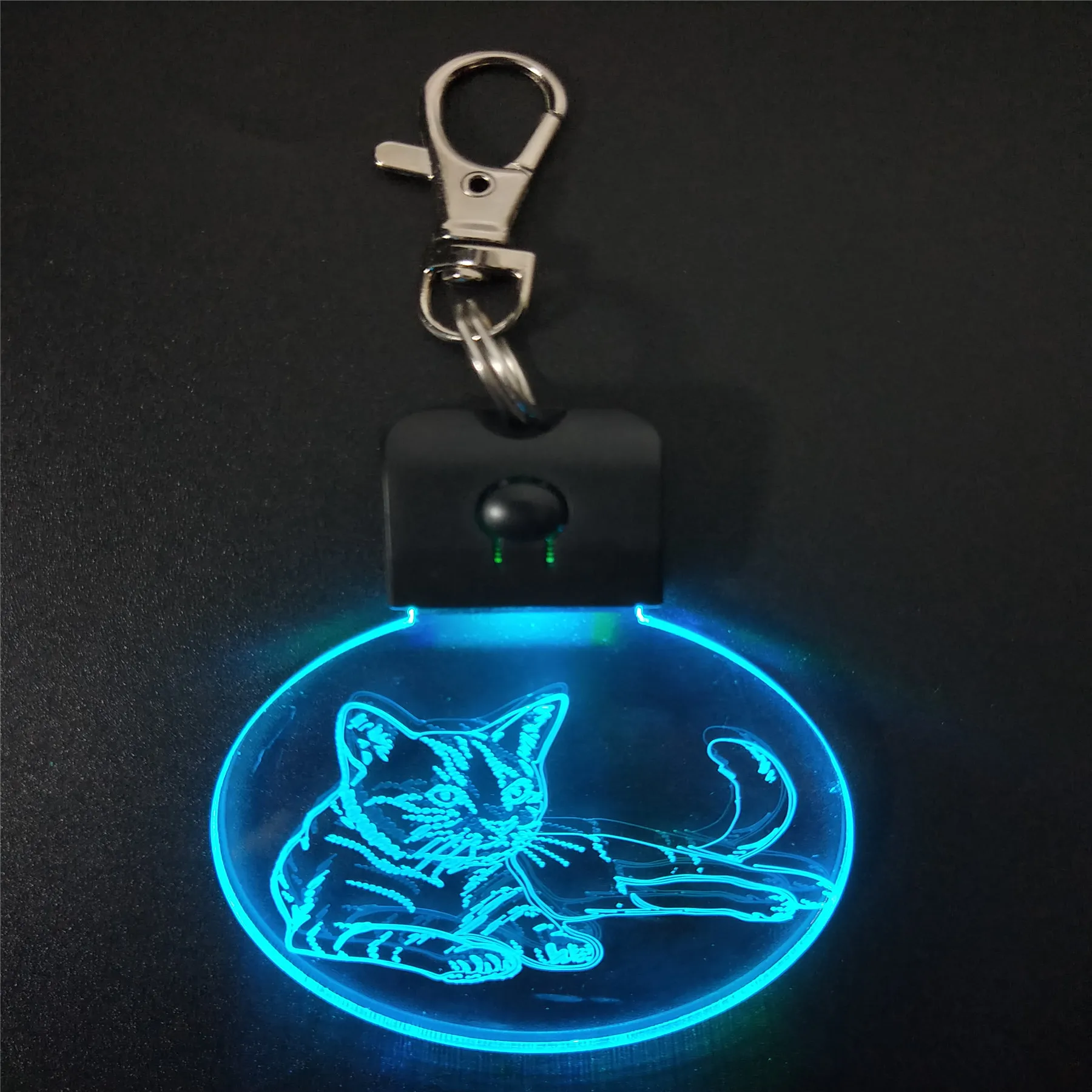 Sleeping Cat KeyChain 3D ABS Arylic Night Light LED Magical Table Lamp Lighting Colors Decoration Gift With li Battery Dropship