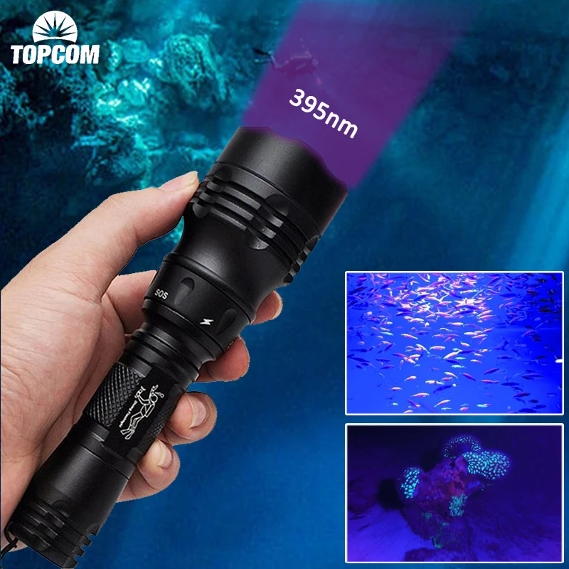 Topcom Professional 395nm UV LED Diving Flashlight Underwater 50m 3W UV Diving Light 5-Mode Ultraviolet Lantern For Fishing