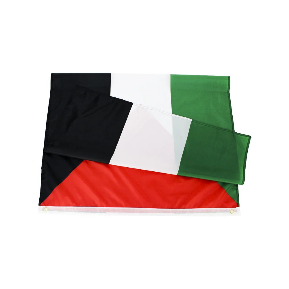 FLAGHUB 60X90 90X150cm PLE  Palestine Flag Palestinian