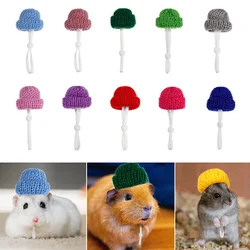 2pcs Knitted Hamster Hat Rats Sugar Glider Guinea Pig Squirrel Chinchilla Ferret Hedgehogs Pet Small Animal Cosplay Outfit Suit