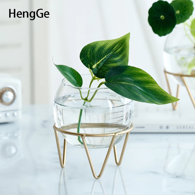 Transparent Glass Vase Simplicity Gilded Iron Art Stent Terrarium Plant Vases Desk Plant Flowerpot Living Room Decoration