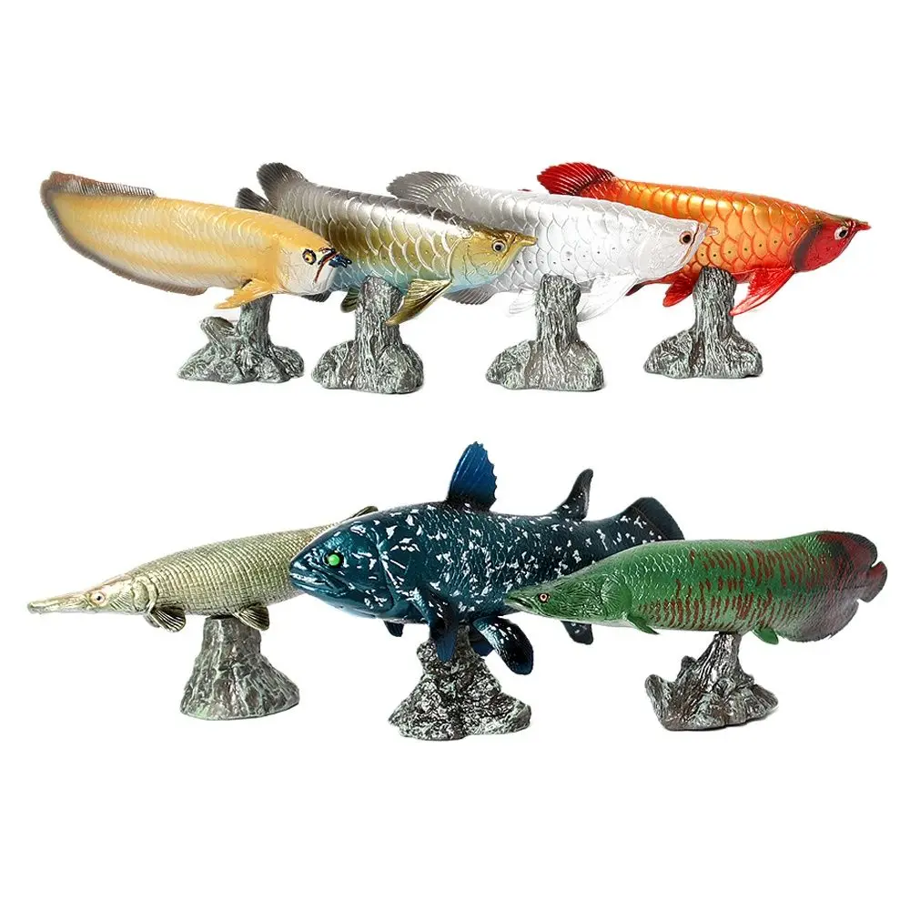 

Realistic Alligator gar,Silver Arowana,dragon fish Ocean Animals Fish Model Play set for Decoration Home Decoration Props toys