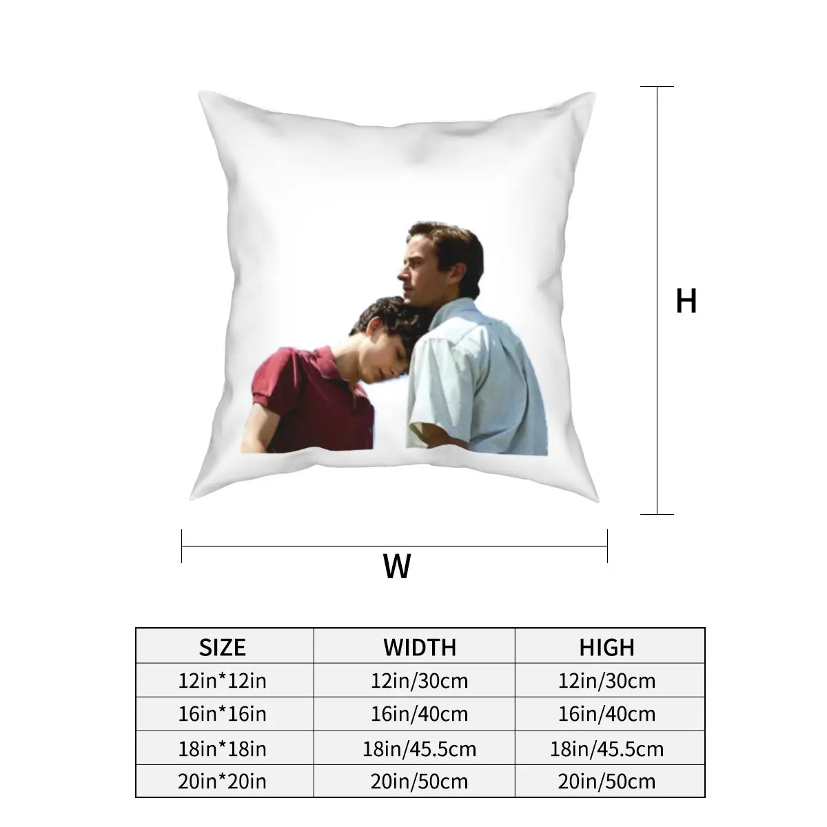 Call Me By Your Name Oliver And Elio Pillowcase Cushion Cover Decoration CMBYN LGBT Movie Throw Pillow Case Cover Chair 45X45cm