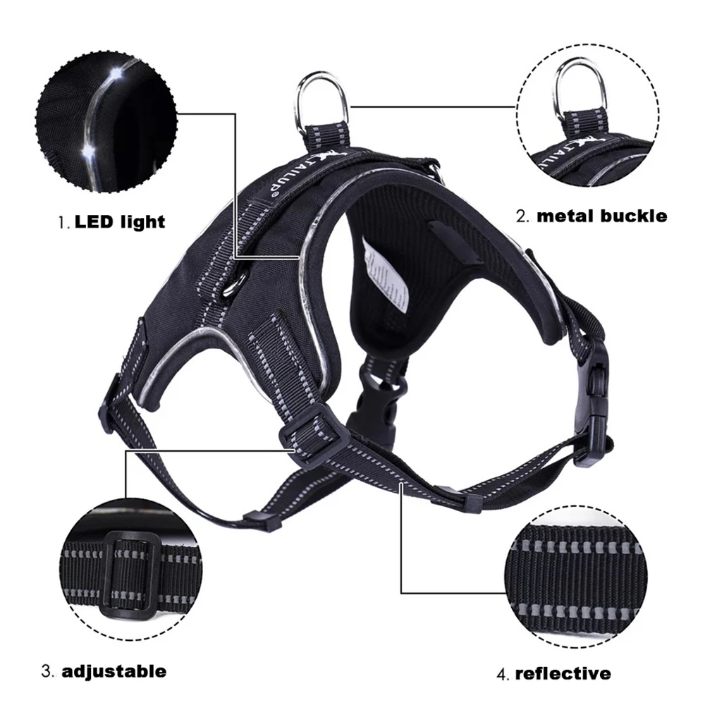 Rechargeable LED Harness for Pets Dog Tailup Nylon Led Flashing Light Dog Harness Collar Pet Safety Leash Belt Dog Accessories