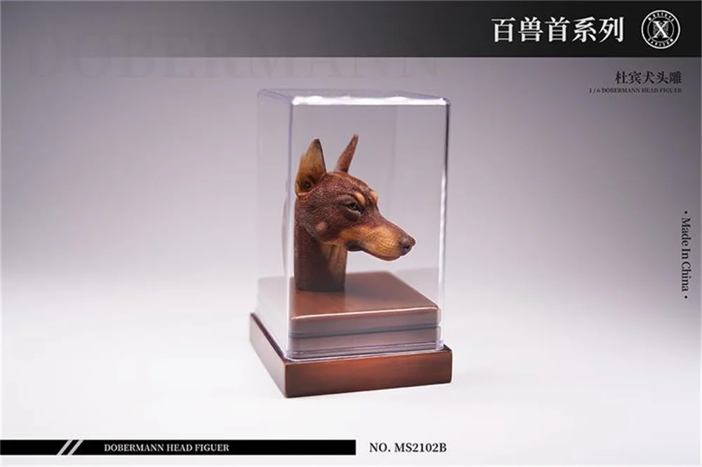 Mostoys 1/6 ドーベルマン ヘッド Dobermann MS2102 Hot Sales 1/6th Mostoys MS2102 Vivid Dog Animals Doberman Head
