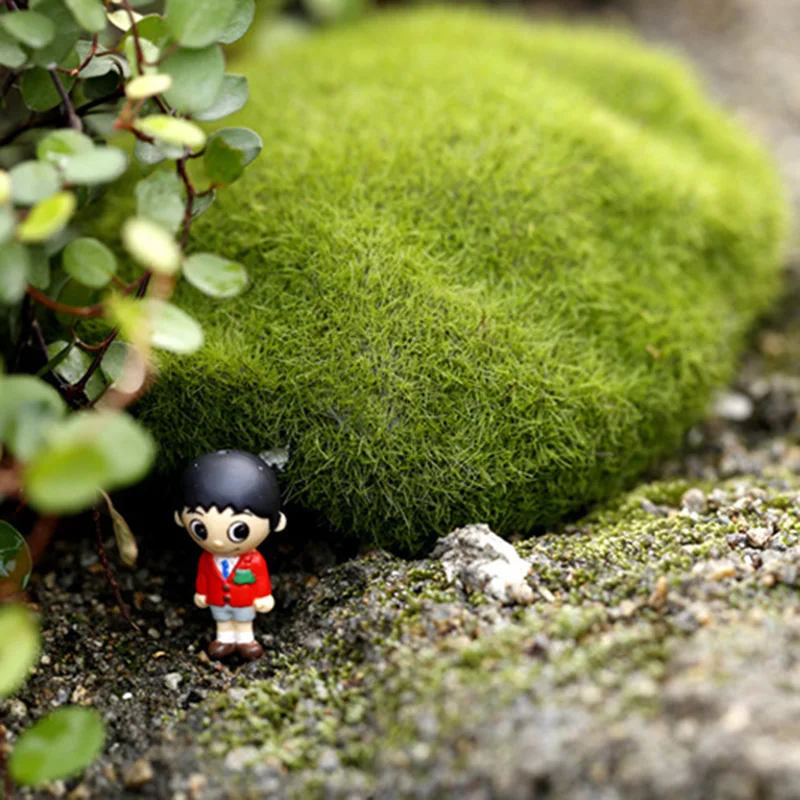 Fondo de fotografía en miniatura, adorno de simulación de musgo, piedra verde falsa, liquen de roca para accesorios de estudio fotográfico