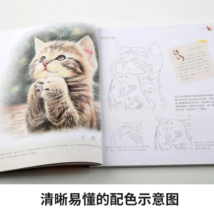 Damask Animals Pencil Drawing Book, Art Painting Tutorial, Fofo, Chinês