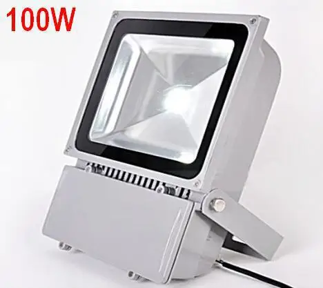 

12V 100W LED Spotlight Floodlight Outdoor Floodlights LED Flood Light Lamp Waterproof Gardon Lawn Lamps Warm White Cold White