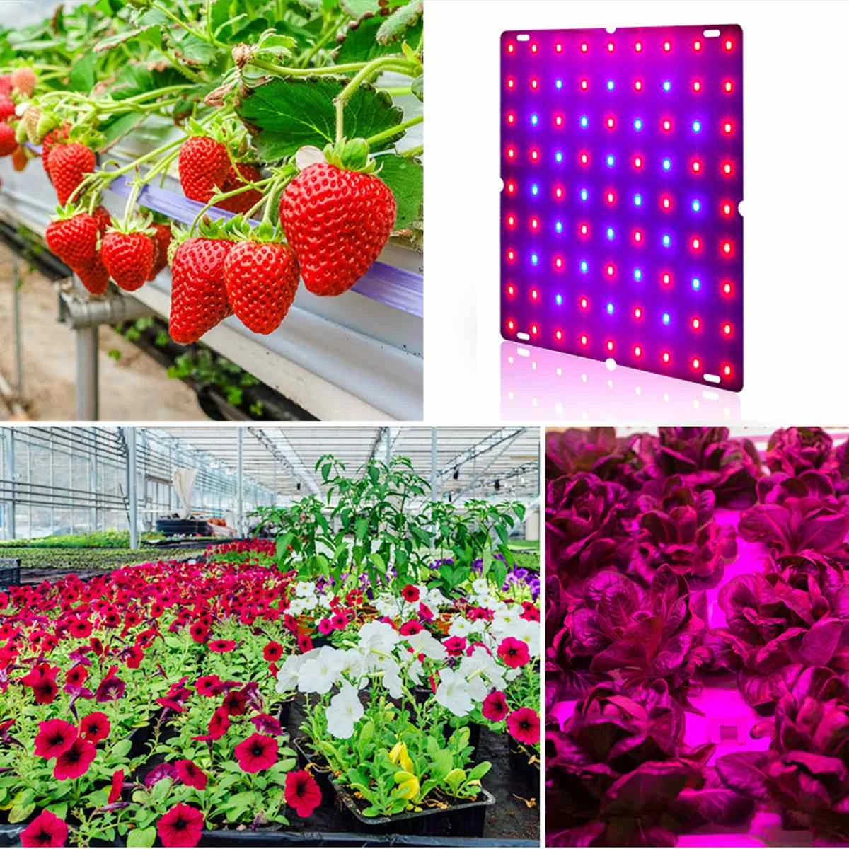 3000W Growth Lamp For Plants Led Grow Light Full Spectrum Phyto Lamp Fitolampy Indoor Herbs Light For Greenhouse Led Grow Tent