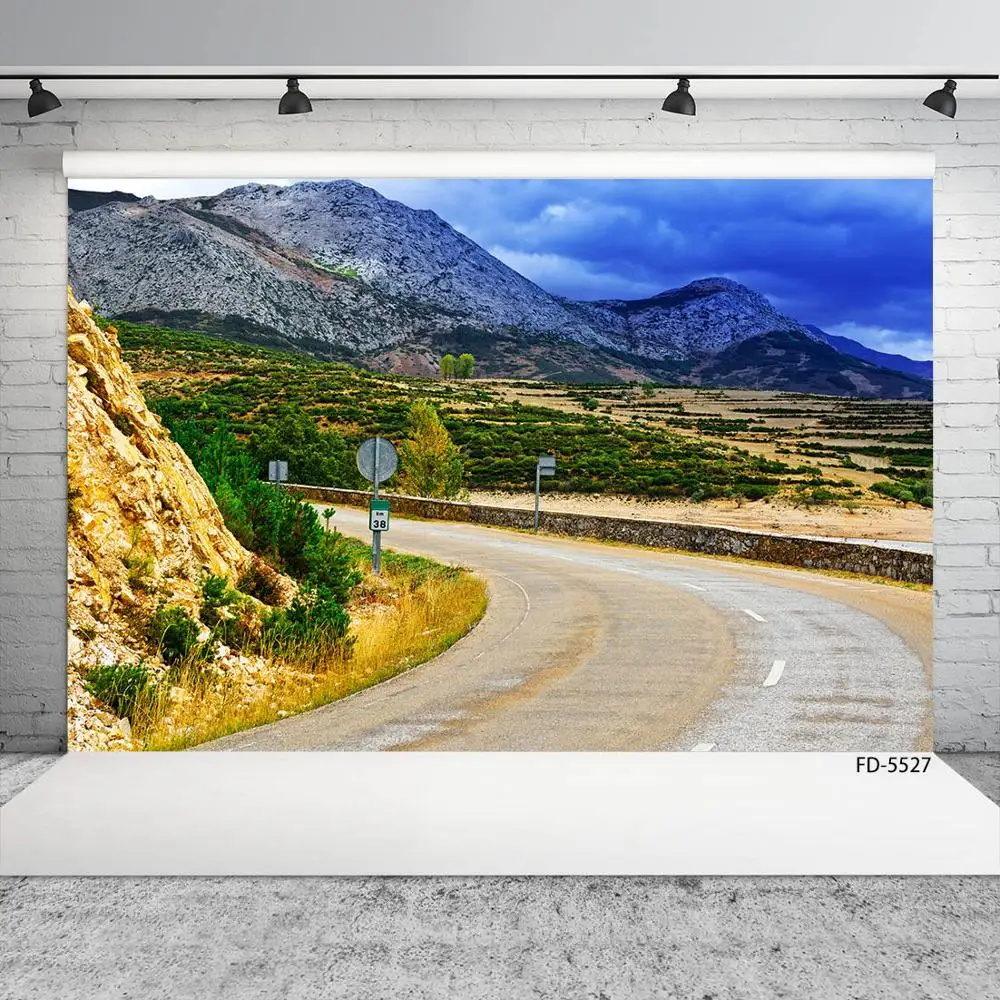 Highway Mountain Plant Photographic Backgrounds Vinyl Cloth Fond Backdrops Photo Studio for Children Baby Portrait Photocall