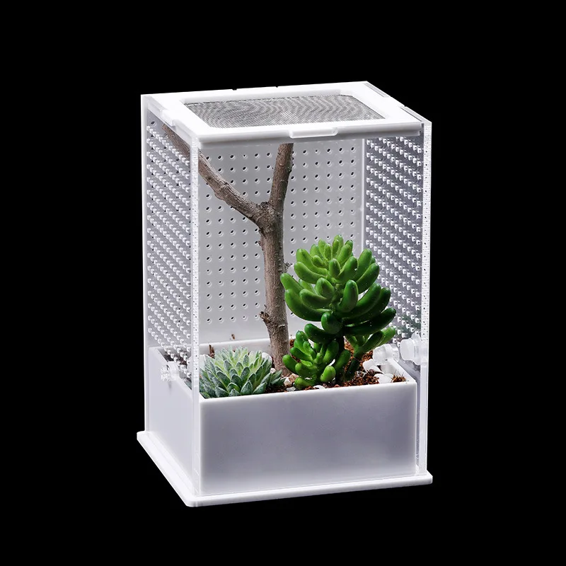 Transparent Acrylic Reptile Feeding Box Insect Box Mantis Breeding Box Insect Reptile Cage Terrarium Feeding Box