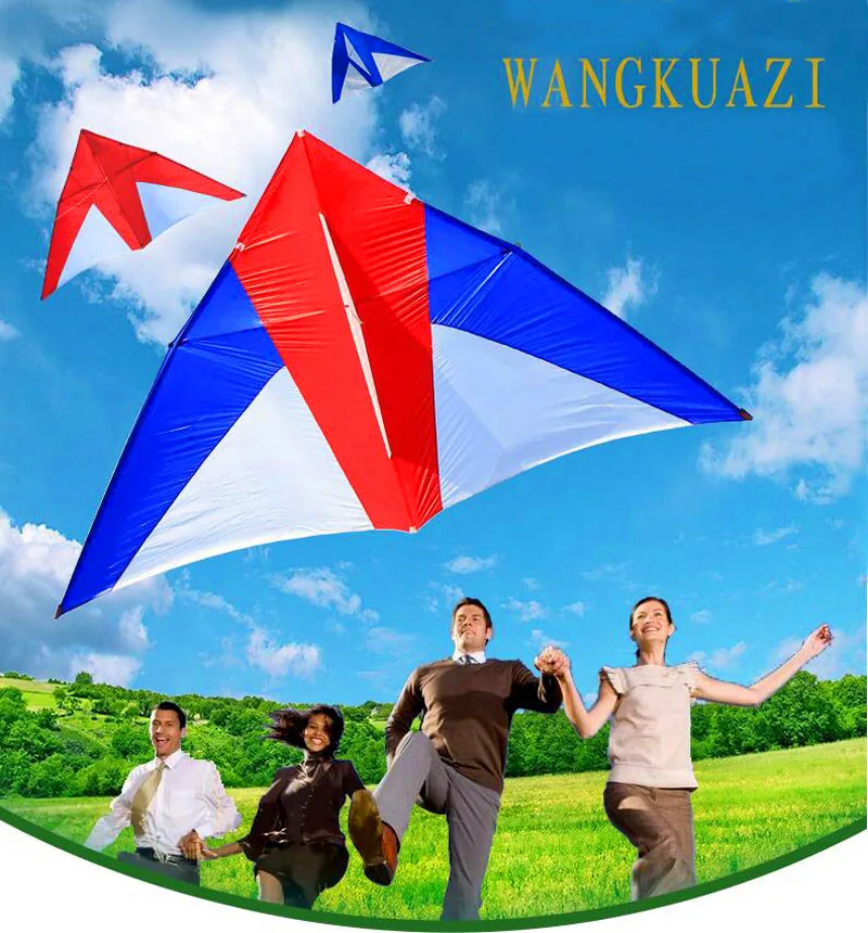 Cometa Delta grande para diversión al aire libre con mango de 100m, línea de nailon Ripstops, cometa triangular grande, brisa, viento, puede volar, deporte al aire libre para adultos