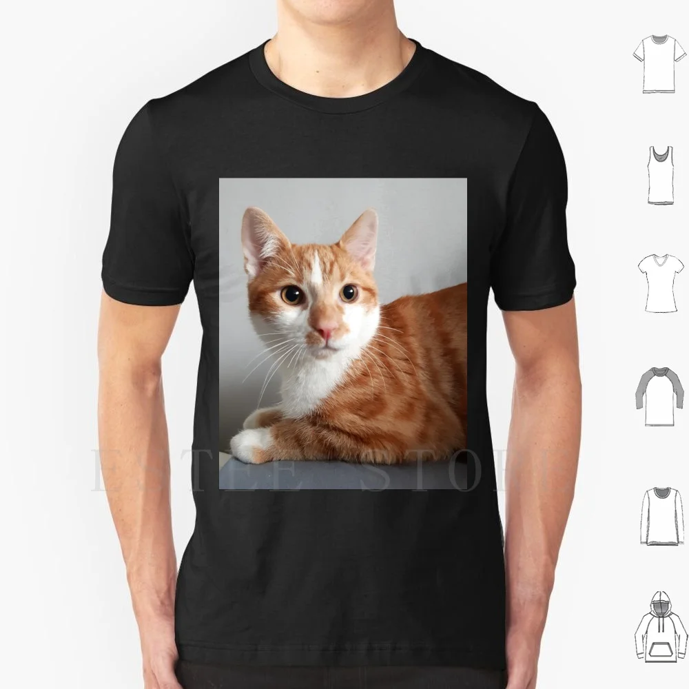 Ginger Kitten T Shirt Print Cotton Kitten Cat Ginger Animal Ears Nose Orange Pussy Kitties Cute Beautiful Pet Animal