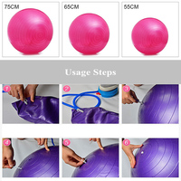 Fitness Anti-burst Yoga Ball Thickened Stability Balance Ball for Pilates Fitness Exercise Gymnastic Indoor 55/65/75cm