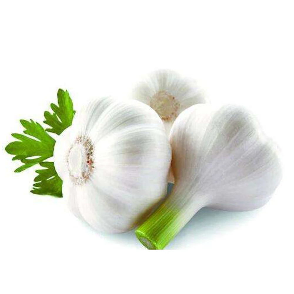 自動ニンニク幹切断機タマネギ幹加工機