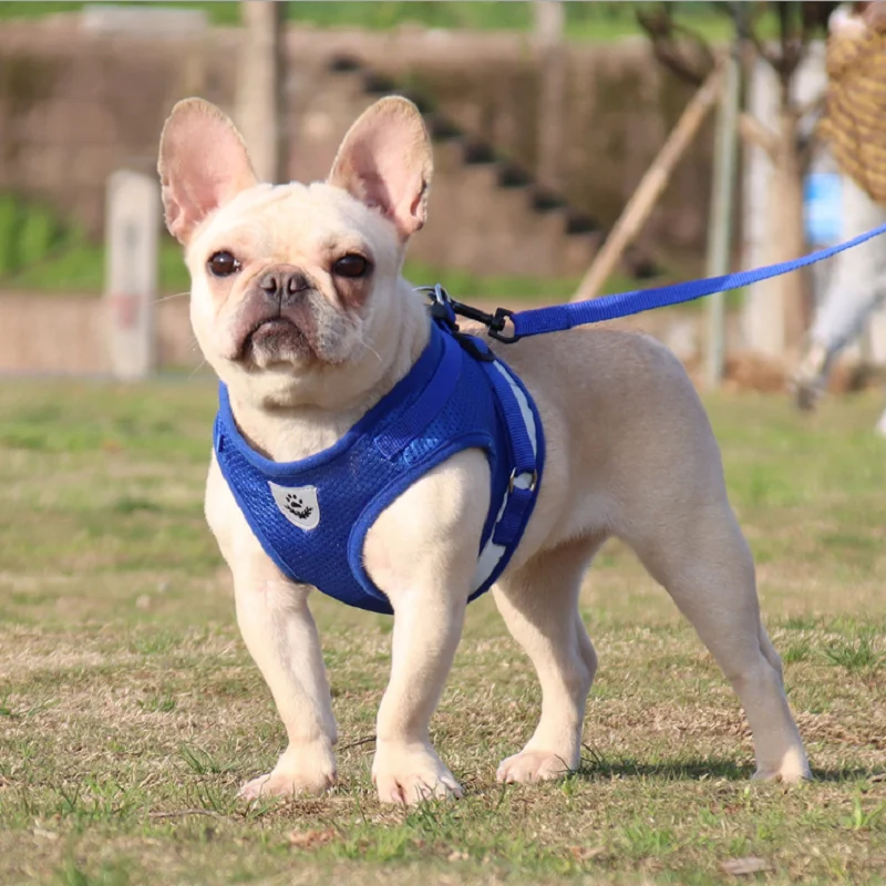 

New Style Pet Chest Harness Vest-style Dog Leash Reflective and Breathable Cat Rope Bulldog 1 Set