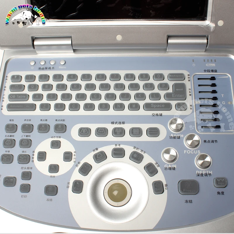 12 Inch LCD Display screen Portable Notebook Ultrasound 96 Element Equipped with Linear Convex Microconvex Probe