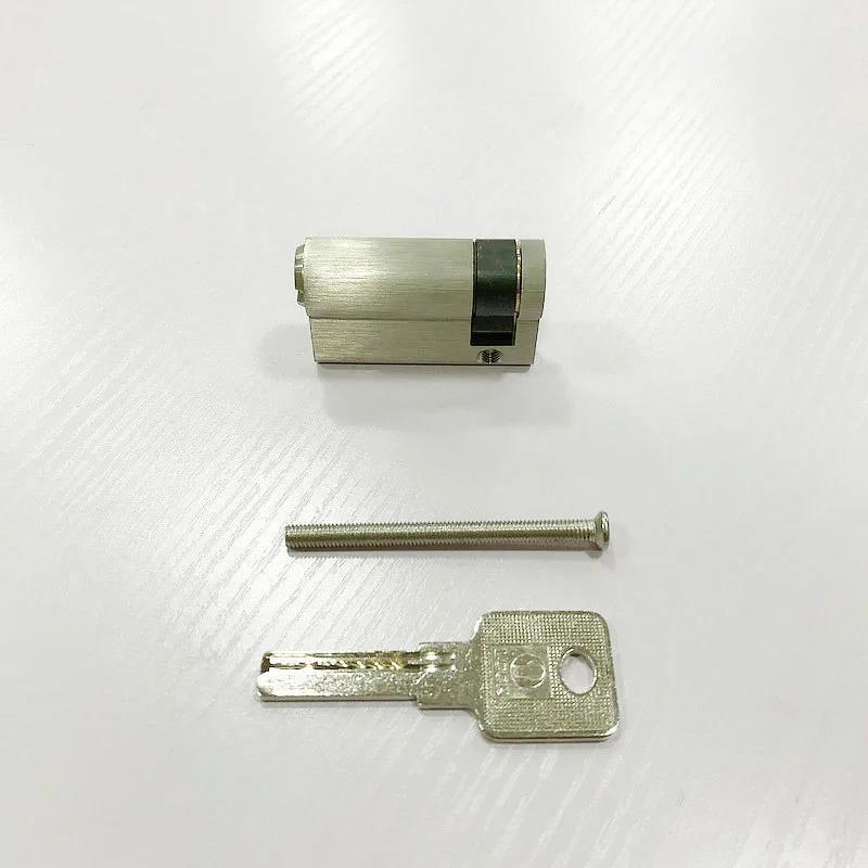 Custom Same Master Key Open Door Cylinder  Security  Copper  Lock Cylinder  Fire Protection Pipe In Machine Room