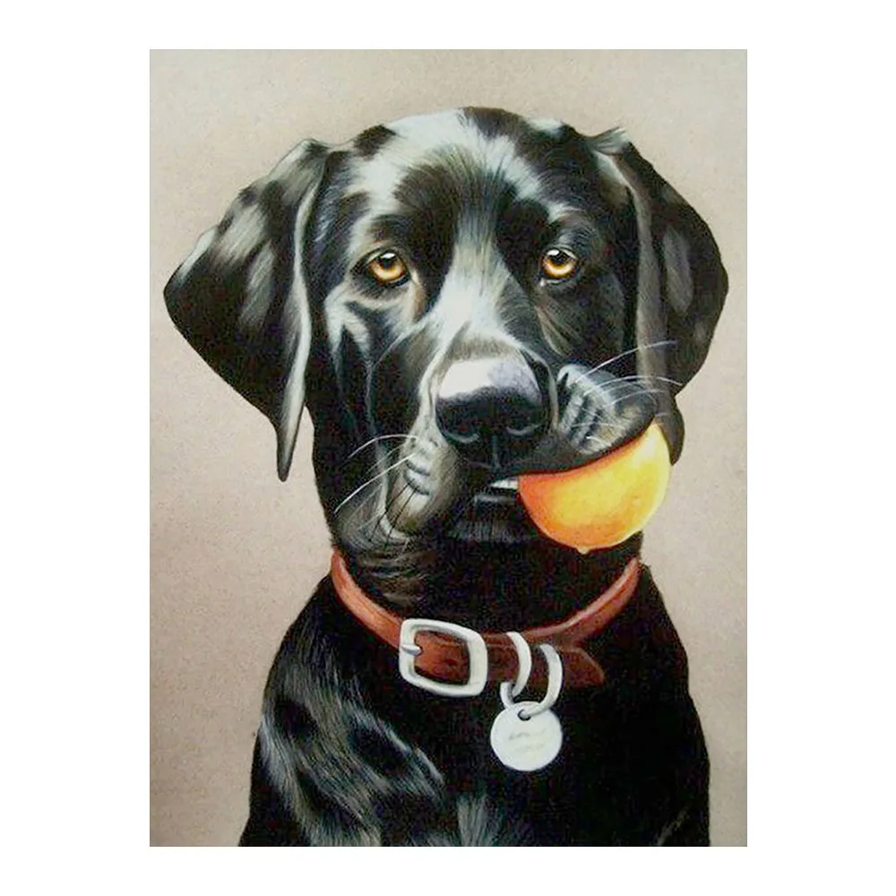 Diamond Painting Animal Black Labrador Dog Round Full Drill 5D DIY Mosaic Embroidery 5D Cross Stitch Animal Pattern   FH609