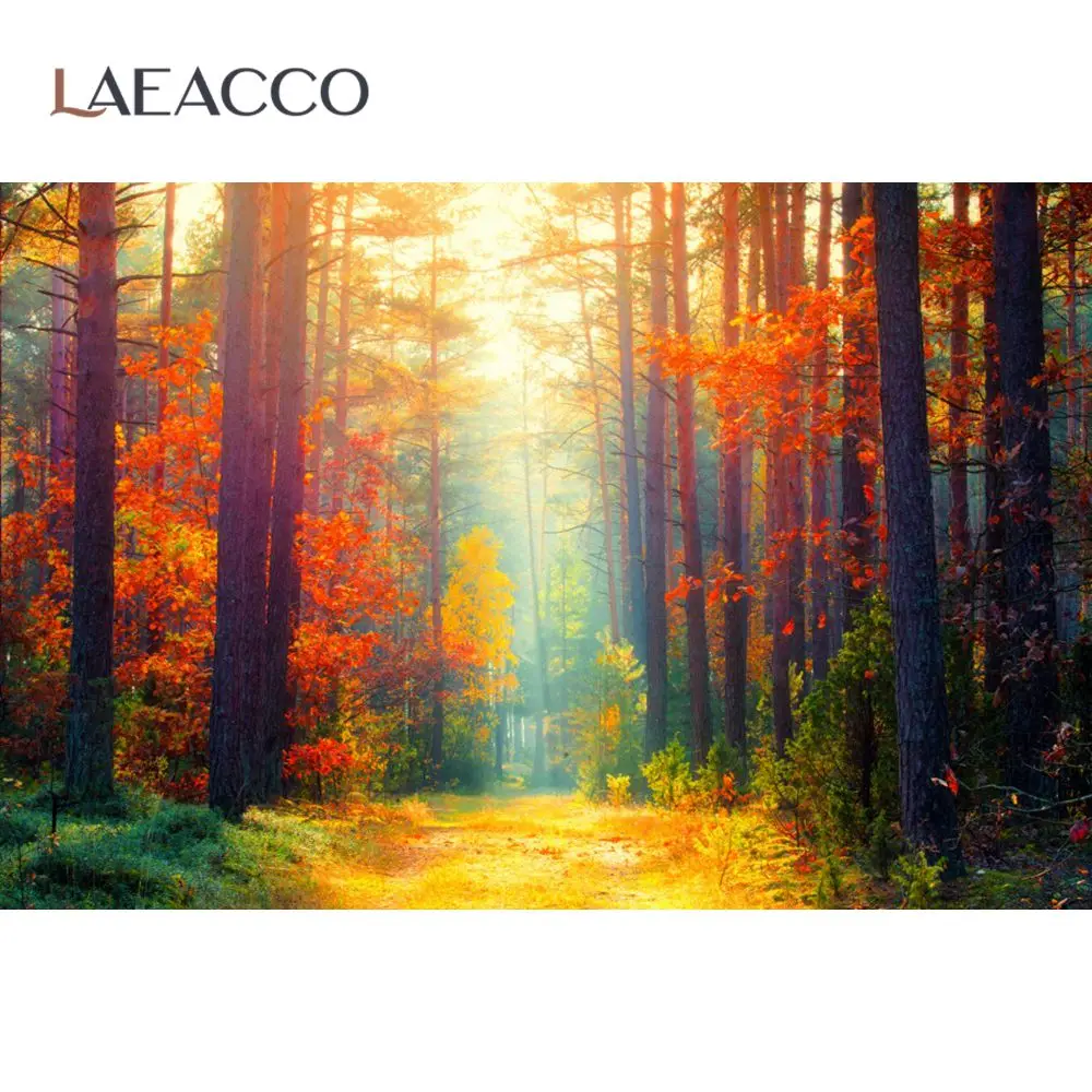 

Laeacco Autumn Forest Scenic Sunlight Pathway Portrait Photo Zone Photographic Backdrop Photography Background For Photo Studio