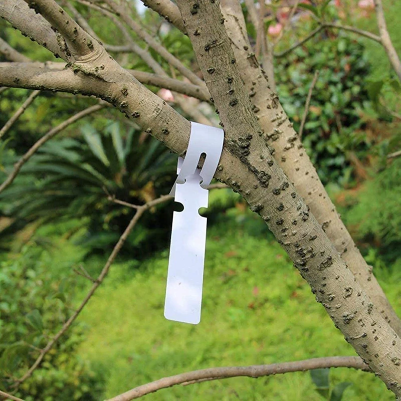 400 Pcs Kunststoff Pflanze Etiketten Wrap Um Baum Tags, einstellbare Kindergarten Garten Etiketten Anlage Tags mit Große Schreiben Oberfläche, Whit