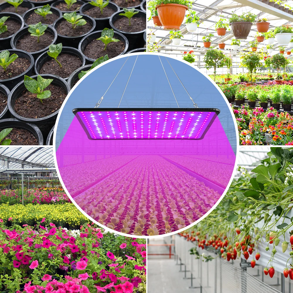 LED Full Spectrum Light 2000W Grow Light LED Plant Lamp 220V Indoor Growing Lamp Phyto Flower Seed LED Greenhouse Lighting 110V