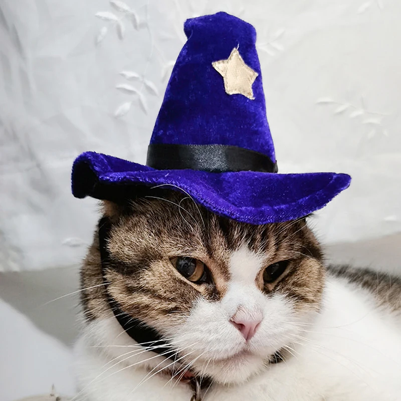 Pet Costume Hat Novelty Adjustable Pet Witch Hat Dog Headwear Halloween Purple Velour Halloween Costume Supplies Cap For Dog Cat