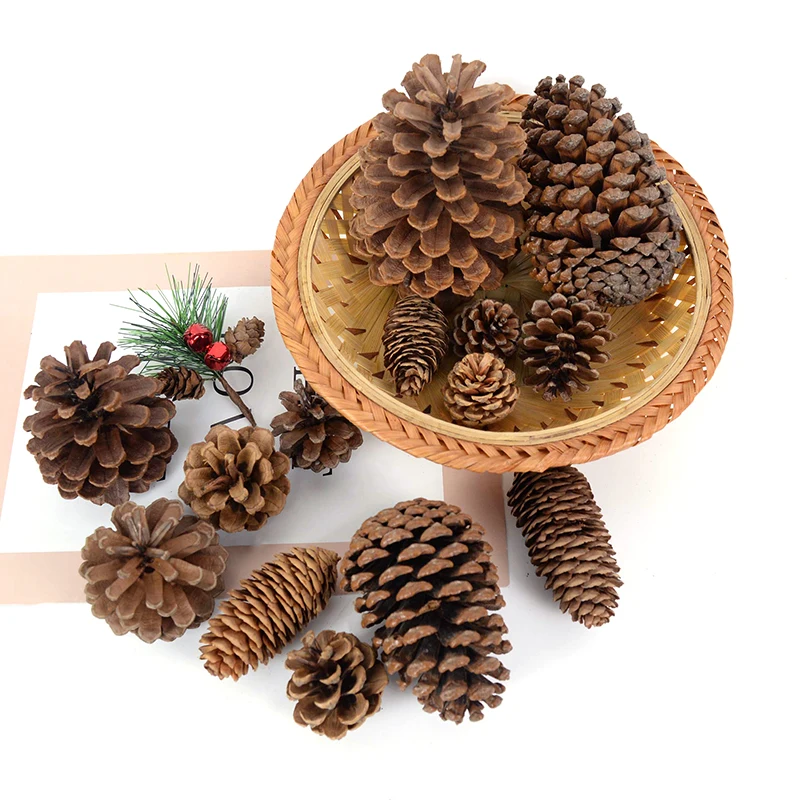 Multi Size Natural Pine Nuts Fruit Dried Artificial Flowers Pineapple Cones Christmas DIY Wreath Garland Crafts Home Party Decor