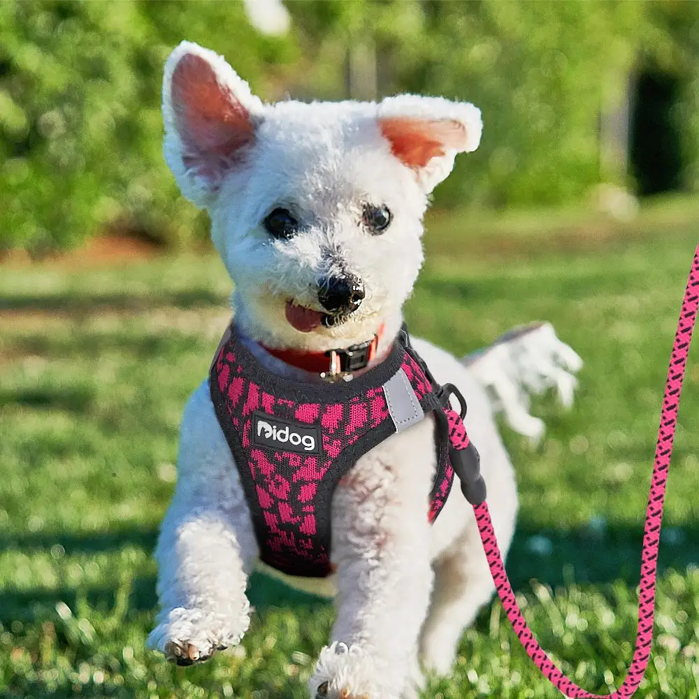 Breathable Cat Harness and Leash Set Reflective Mesh Pet Puppy Harness Vest Lead Leahes Chihuahua Harness For Small Dogs Cat