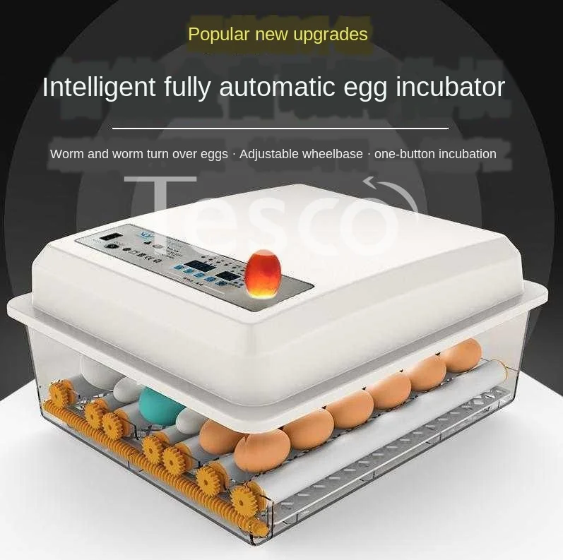 

Automatic Breeding Box Warming Hatching Egg Artifact Float Incubator Household Temperature Wild Mountain Duck