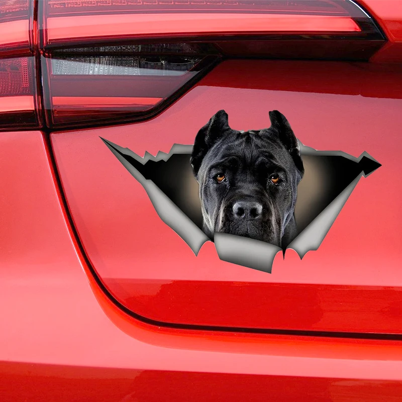 Black Cane Corso Dog Self-adhesive Decal Car Sticker Waterproof Auto Decors on Bumper Rear Window Laptop Choose Size #S60459