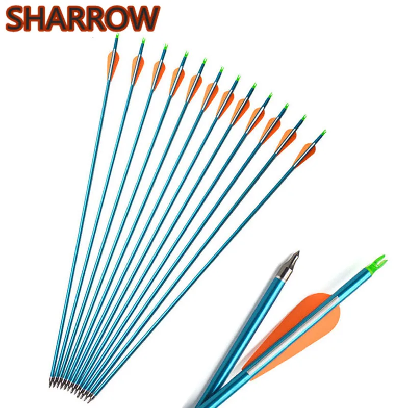 

6/12 Pcs 30" Archery Aluminium Arrow Spine 300 Aluminium Arrows With 3" Rubber Vanes For Outdoor Hunting Shooting Accessories