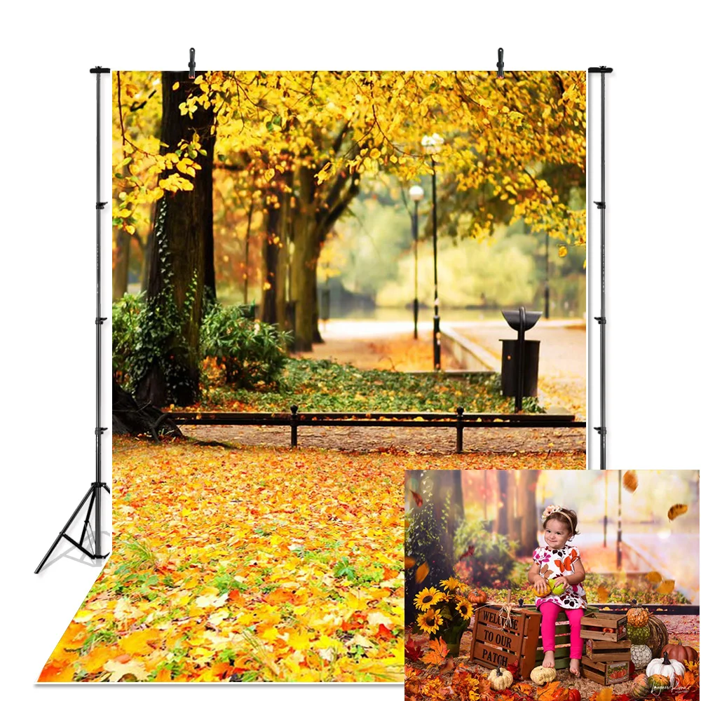 

Maple Leaves Path Photo Background for Photographers Studio Autumn Park Backdrop Photography Studio S-631