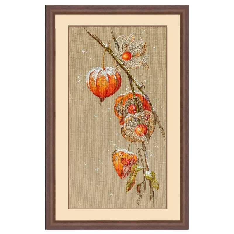 Amishop Counted Cross Stitch Kit, Lantern Flower, Red Flower, Physical Alkekengi, Autumn Ground Cherry, Top Quality, Lovely