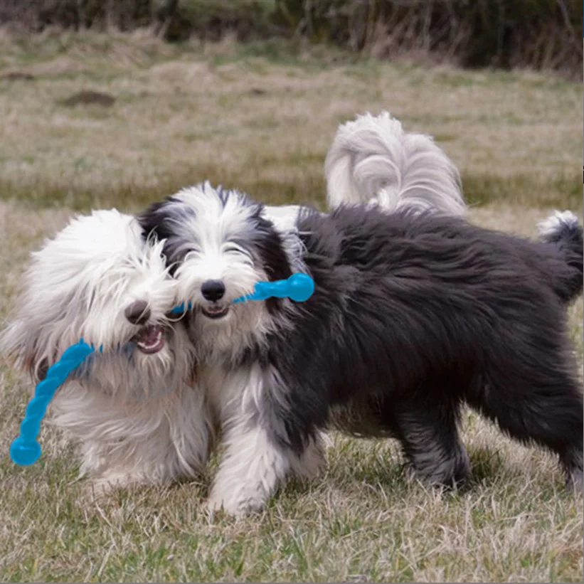 M-Size KONG Safestix Dog Toy, Color Varies