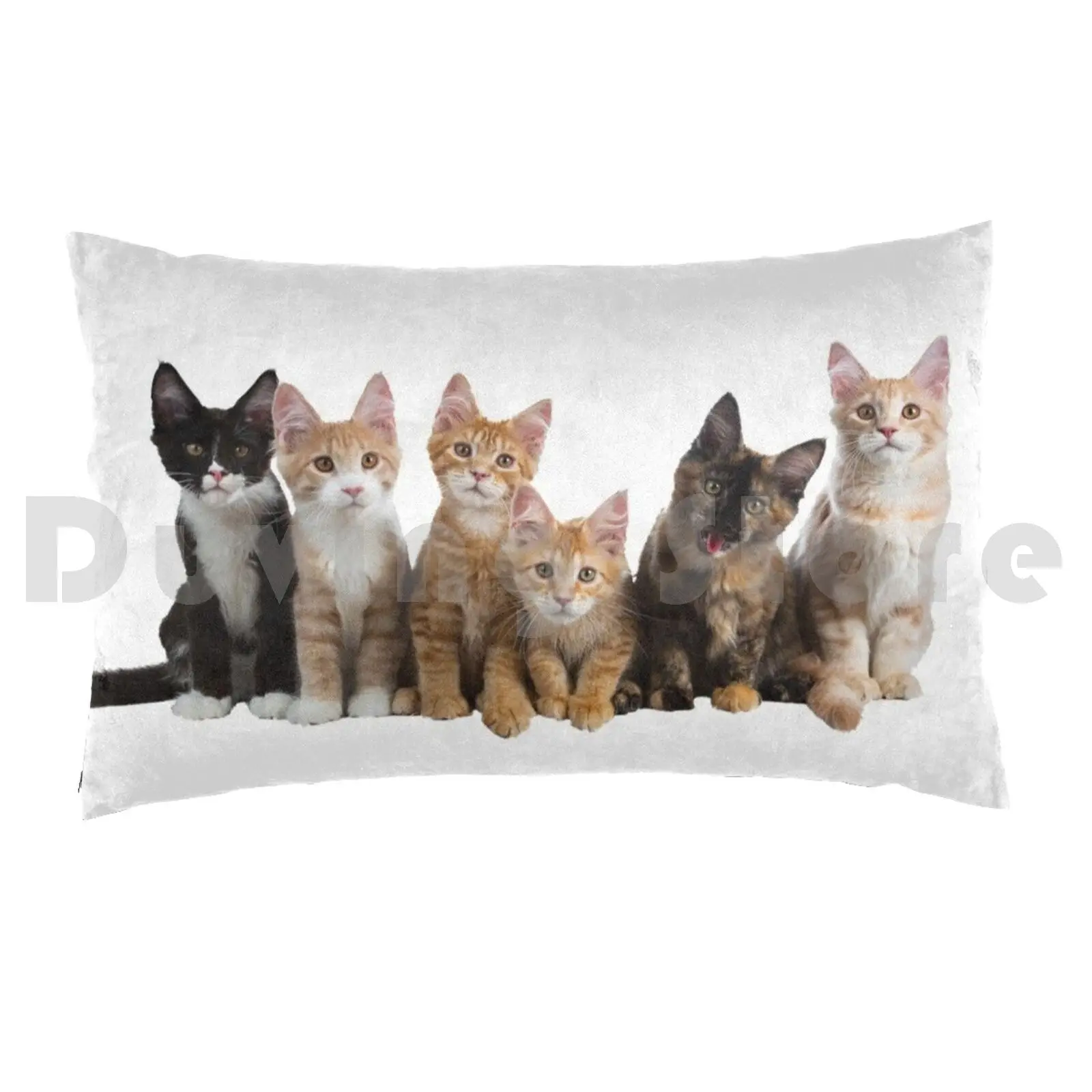 Dream Team Pillow case Cat Cats Cats Persian Domestic Wild Colorful Black White Yellow On A Tree