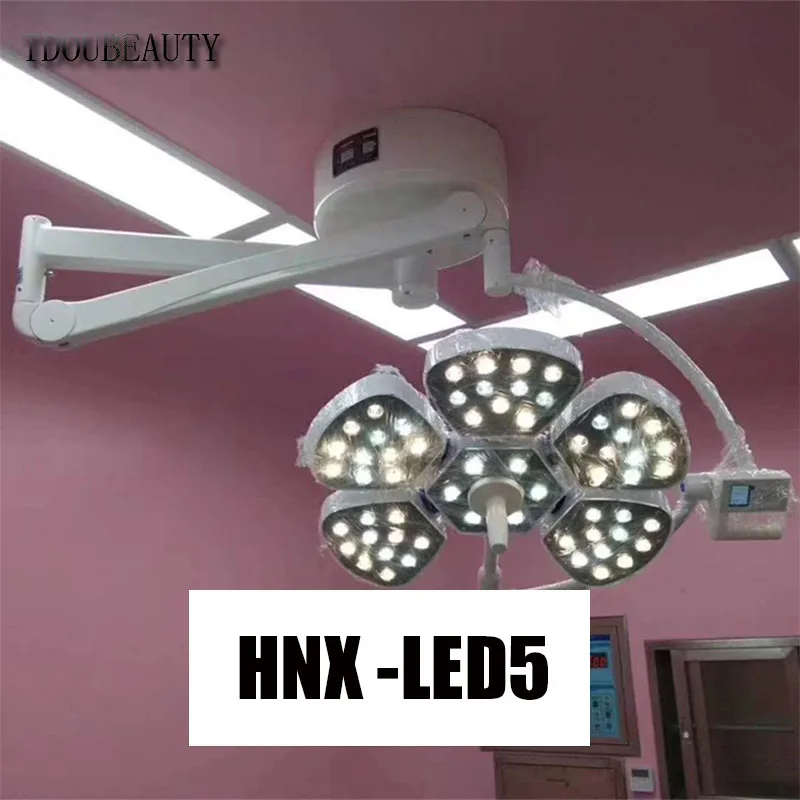 Surgical Shadowless Lamp Microcosmetic Dentistry Pet Medical Ceiling Wall-Mounted Surgical Lamp （AC/90V-230V）Free Shipping