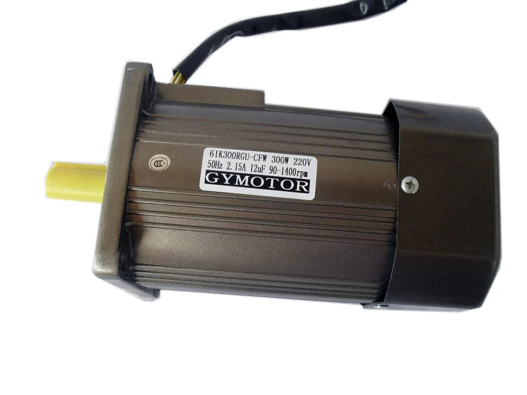 300W 2800rpm AC Optical Axis Speed Regulating Motor 6ik300ra-cf to 2 Polar Axis Motor