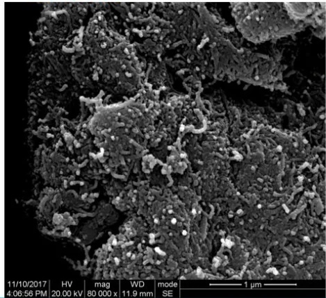 

Unfunctionalized/hydroxylated/carboxylated short, high-purity multi-walled carbon nanotubes, diameter 4-6nm