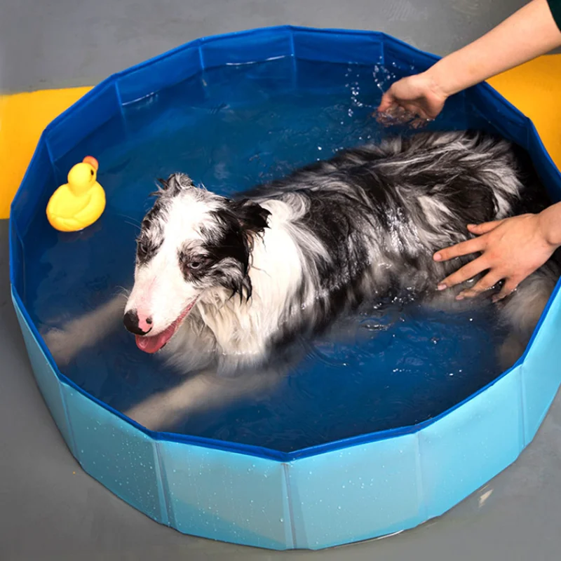 

Dog Bathtub Collapsible Pet Bathtub Golden Retriever Bathtub Large Dog Bathing Bucket Puppy Bathtub Kitty Supplies