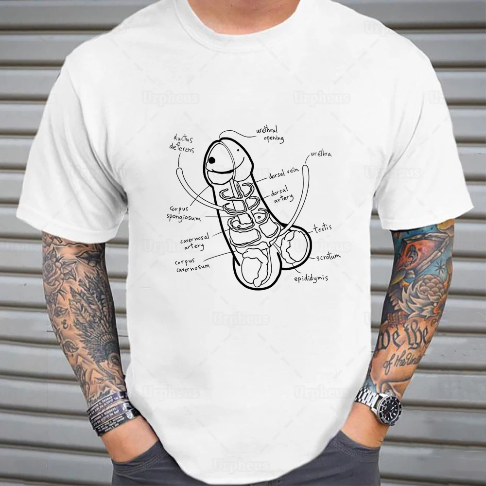 The Anatomy of A Penis Funny Tshirt Humors Joke Novel Educational Shirt  Hip Hop Geek Cotton Tees