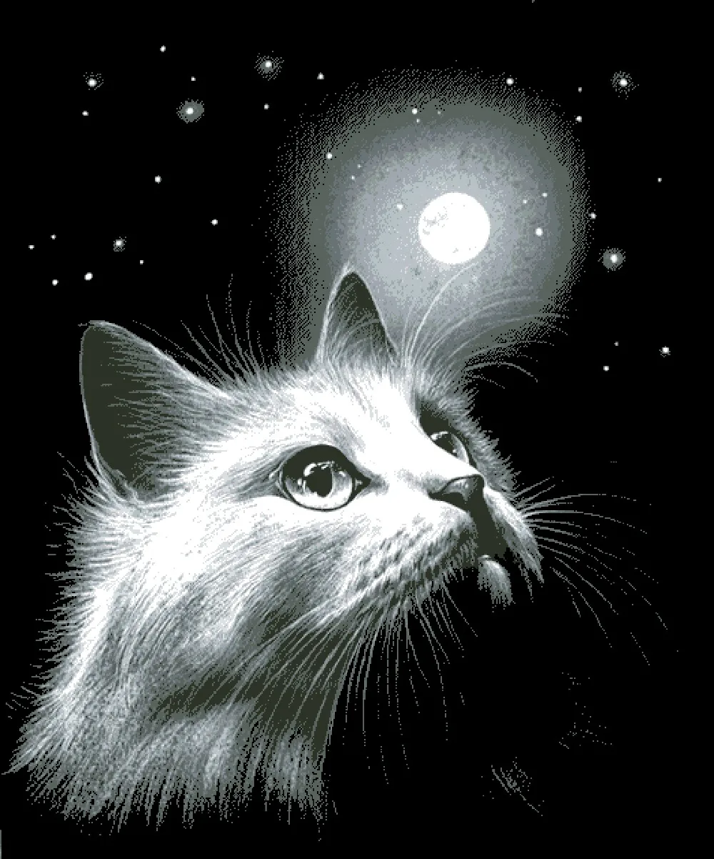 Cat under the moon cross stitch package sets aida 18ct 14ct 11ct black cloth people kit embroidery DIY handmade needlework