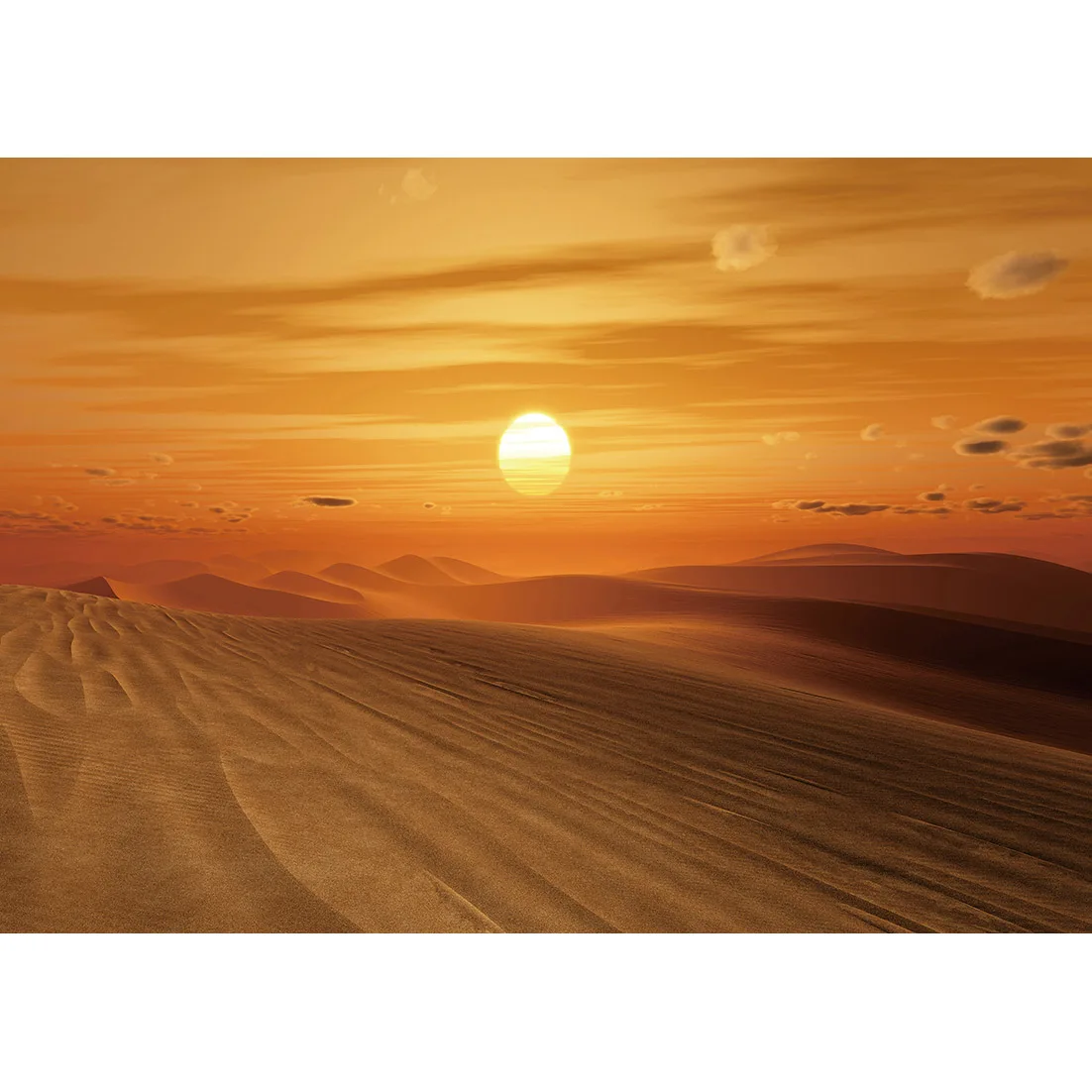 Zachód słońca w pustyni Tła fotograficzne Tło z tkaniny winylowej na imprezę Portret dzieci Dekoracja ścienna Photophone Photo Studio