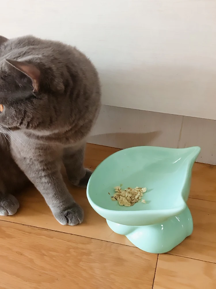 Imagem -06 - Proteção para Coluna Cervical de Cerâmica Gato de Estimação Alimentador de Água para Animais de Estimação Cães Pequenos Tigela Antiderrapante Durável Artesanato de Tigela para Gatos