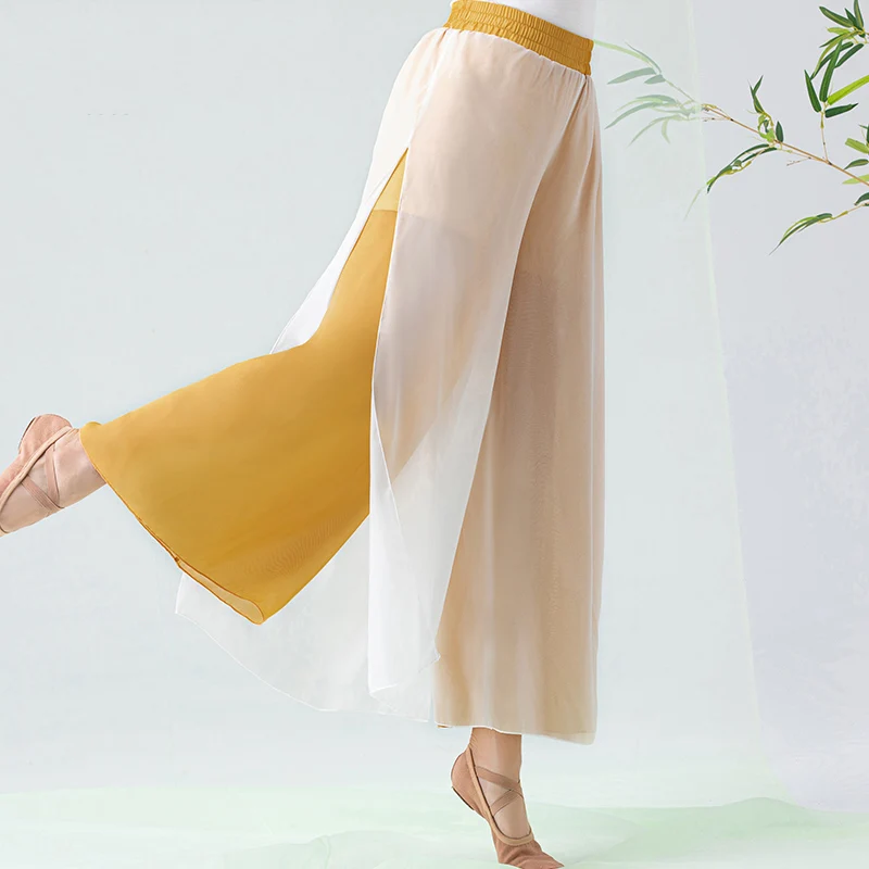 

New Chinese Classical Dance Practice Pants Female Elegant Gauze 3 Color Wide-Leg Trousers Modern Latin Dance Clothing DQL5836