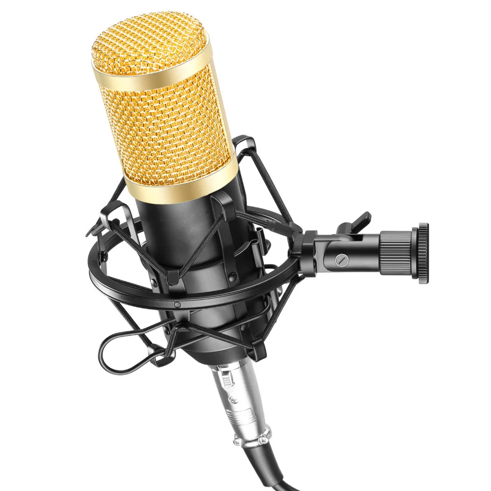 Studio Vocal microphone Cardioid condenser mic Computer recording Live broadcast Streaming and Voiceover Dual-diaphragm capsule