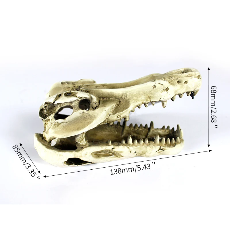 Crocodile dinosaur bone dodge house resin reptile habitat aquatic landscape simulation skull aquarium decoration